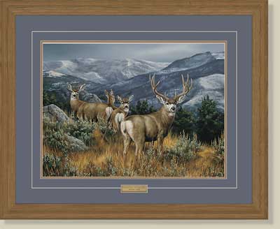 The Last Glance-Mule Deer by Rosemary Millette